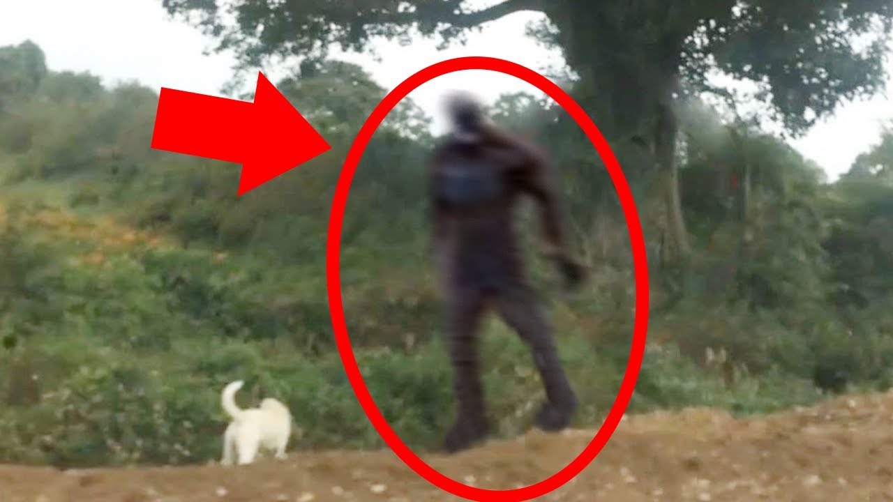 5 Scary Things Caught On Camera & In Real Life - BIGFOOT