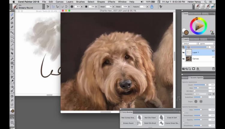 Photo Art - Painting Fur