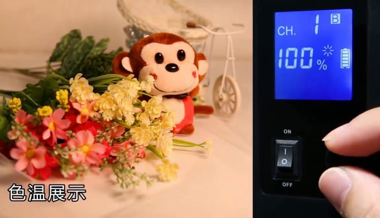 Photo Studio set 2x Viltrox VL-200T Wireless Remote Bi-color LED Studio Video Light Lamp + 2x Light