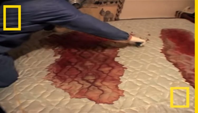 Crime Scene Cleaners | Real Life CSI