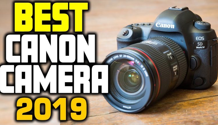 5 Best Canon Camera in 2019
