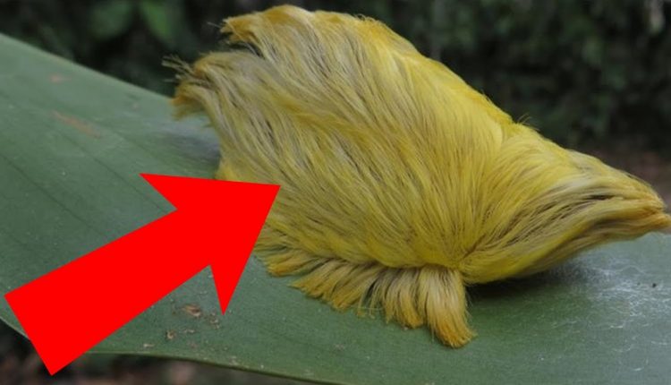 If You See This, Run Fast and Ask for Help!