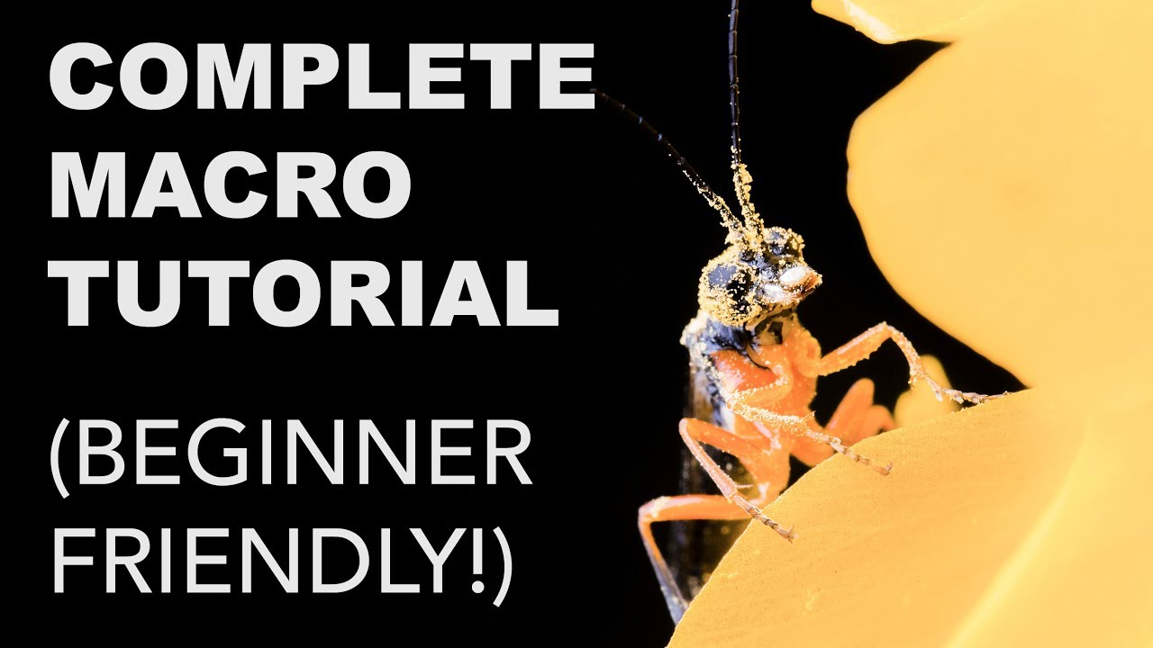Complete Macro Photography Tutorial for Beginners