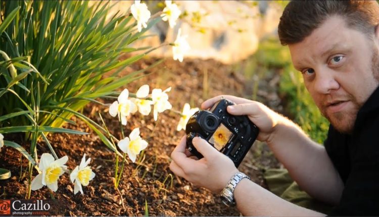 Basic Flower & Macro Photography