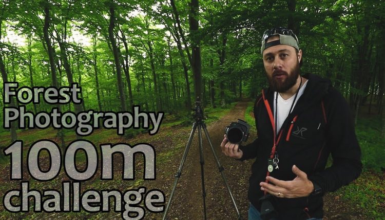 Forest Photography Tips - 100 meters Challenge