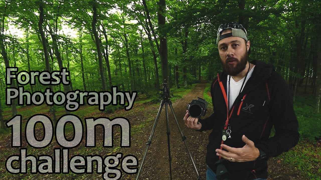 Forest Photography Tips - 100 meters Challenge