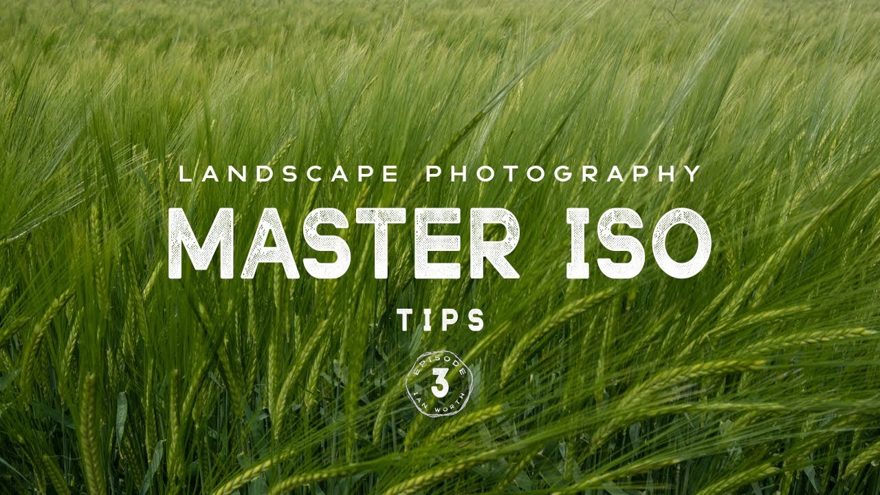 ISO for Landscape Photography